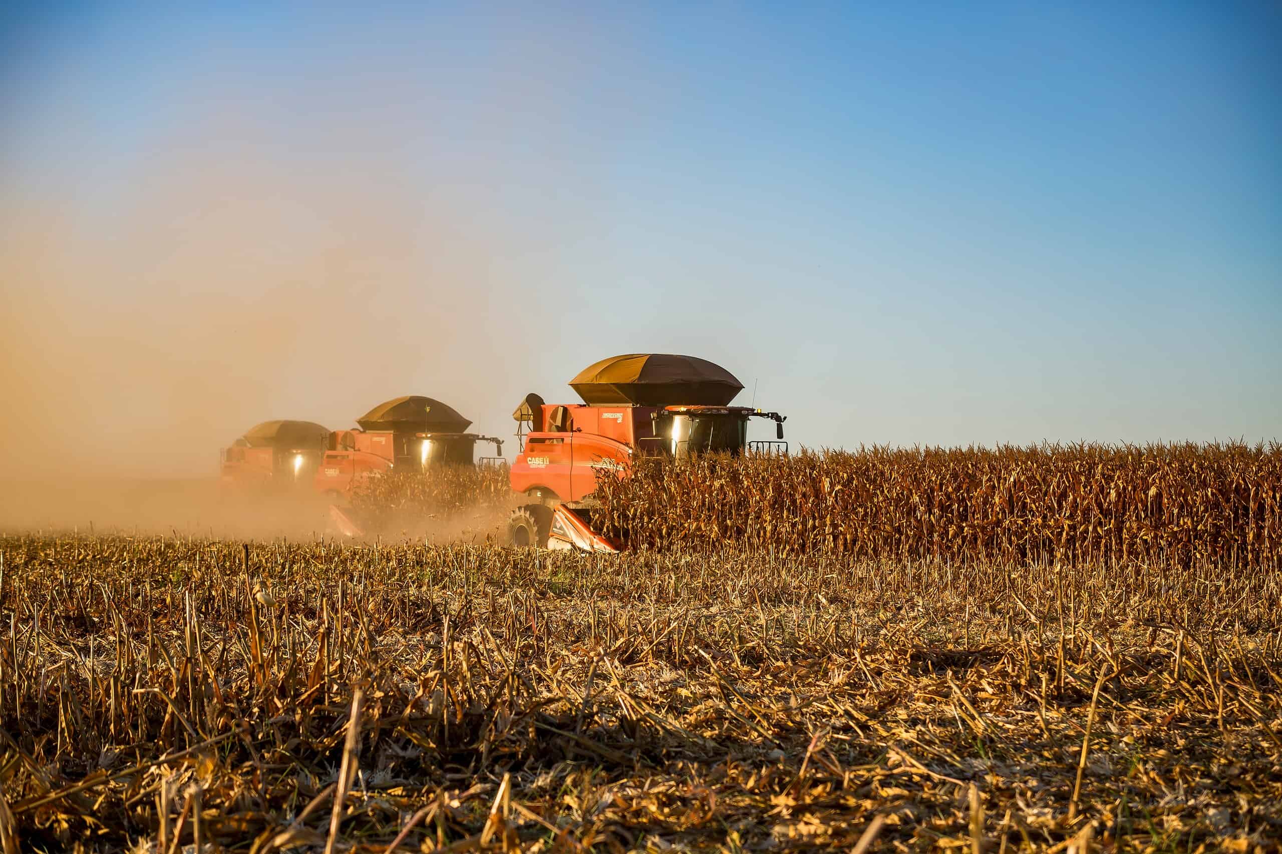 Brazil, Agriculture, Export